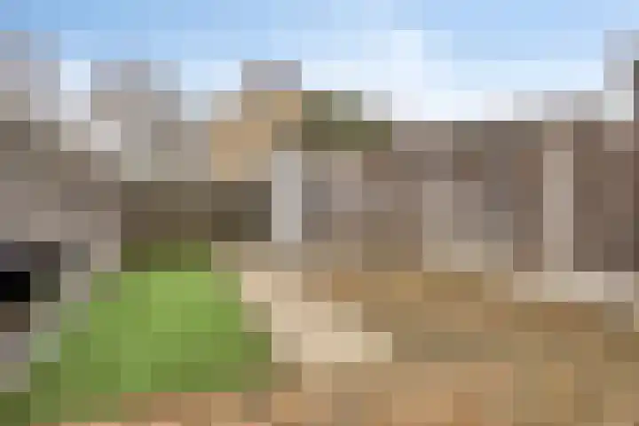 Telgenhöfke 8 A Denekamp thumbnail 19