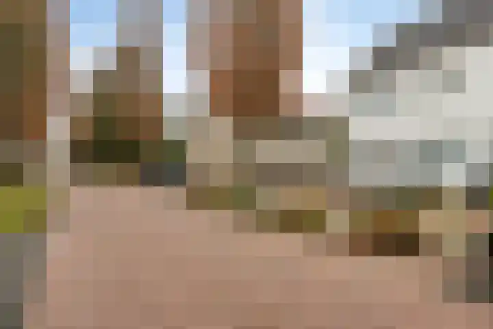 Telgenhöfke 8 A Denekamp thumbnail 23