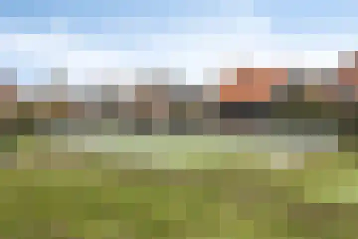 Telgenhöfke 8 A Denekamp thumbnail 25