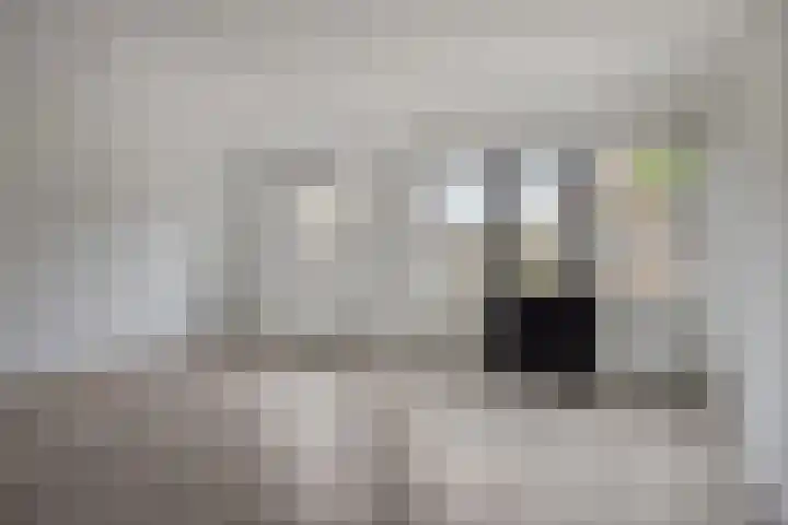 Telgenhöfke 8 A Denekamp thumbnail 5