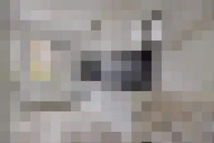 Telgenhöfke 8 A Denekamp thumbnail 7