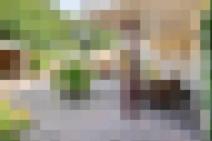Telgenkamp 14 Almelo thumbnail 24