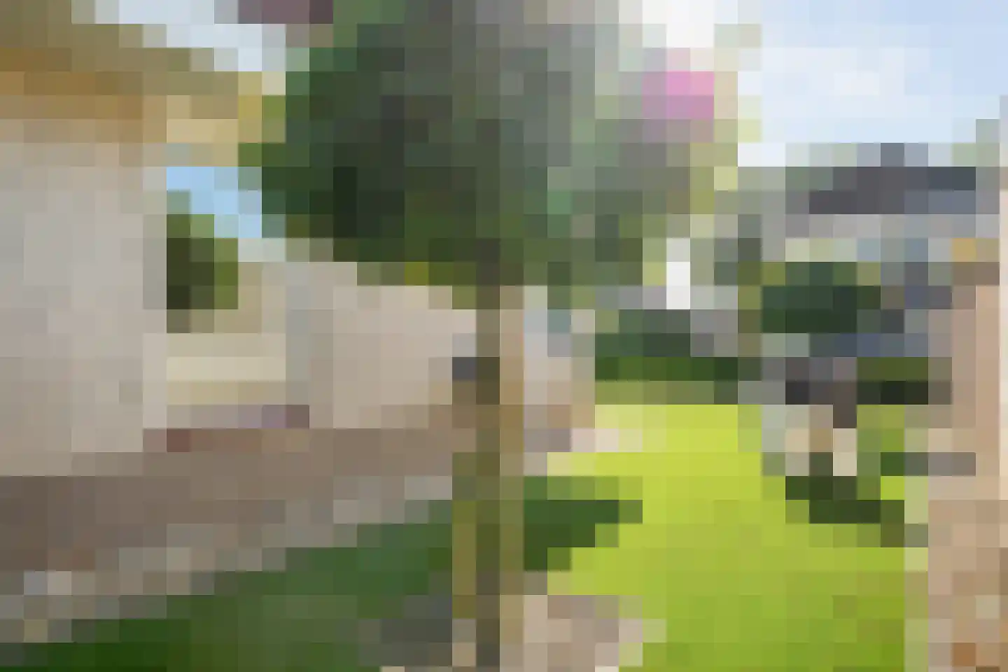 Telgenkamp 14 Almelo thumbnail 25
