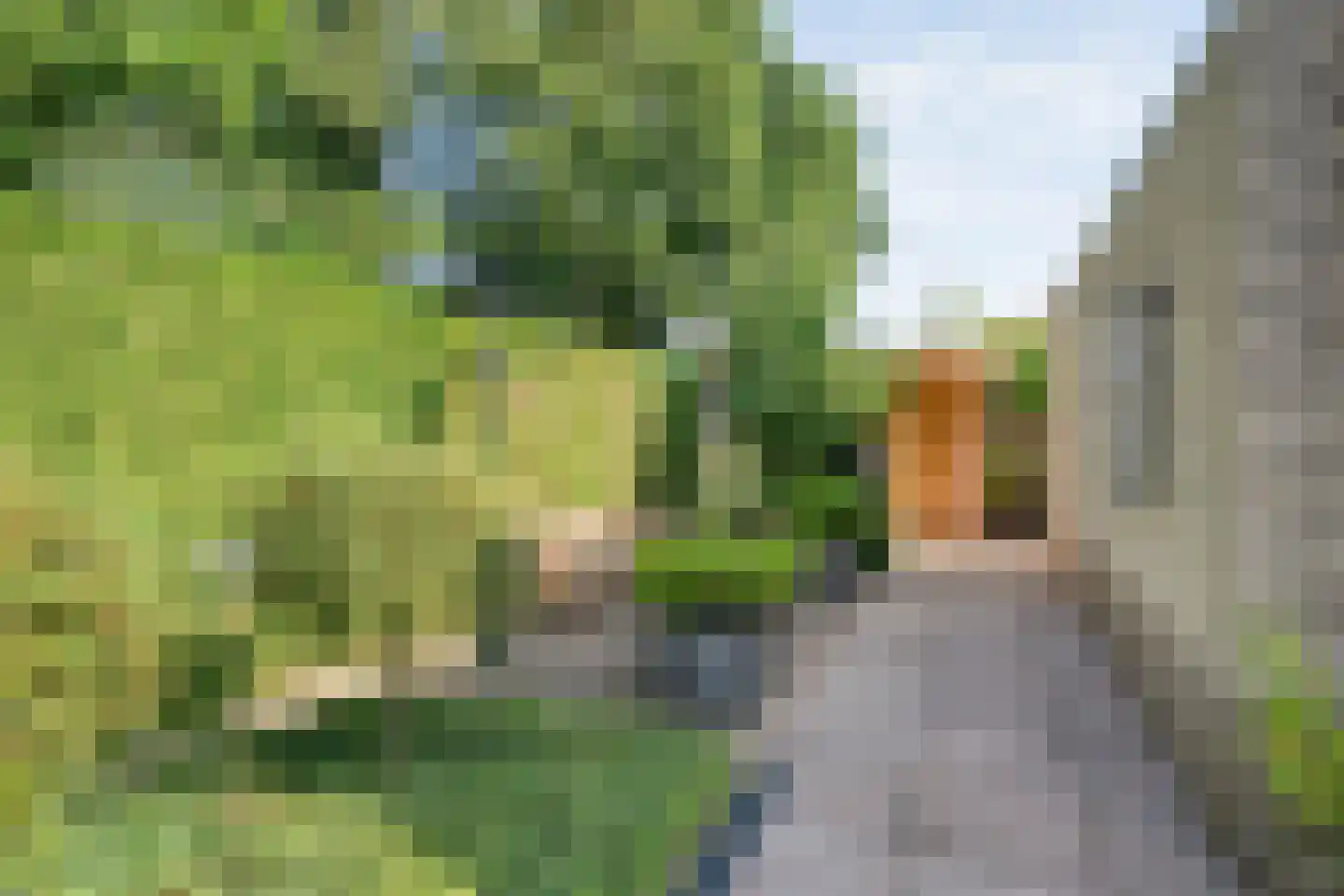Telgenkamp 14 Almelo thumbnail 28