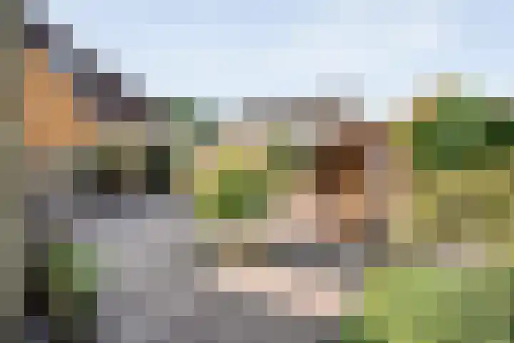 Telgenkamp 14 Almelo thumbnail 30