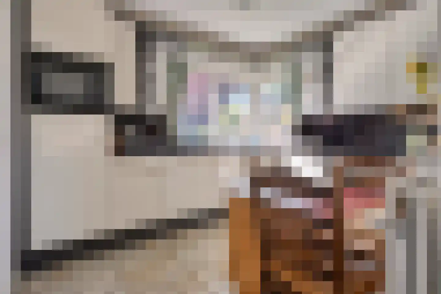 Telgenkamp 14 Almelo thumbnail 9