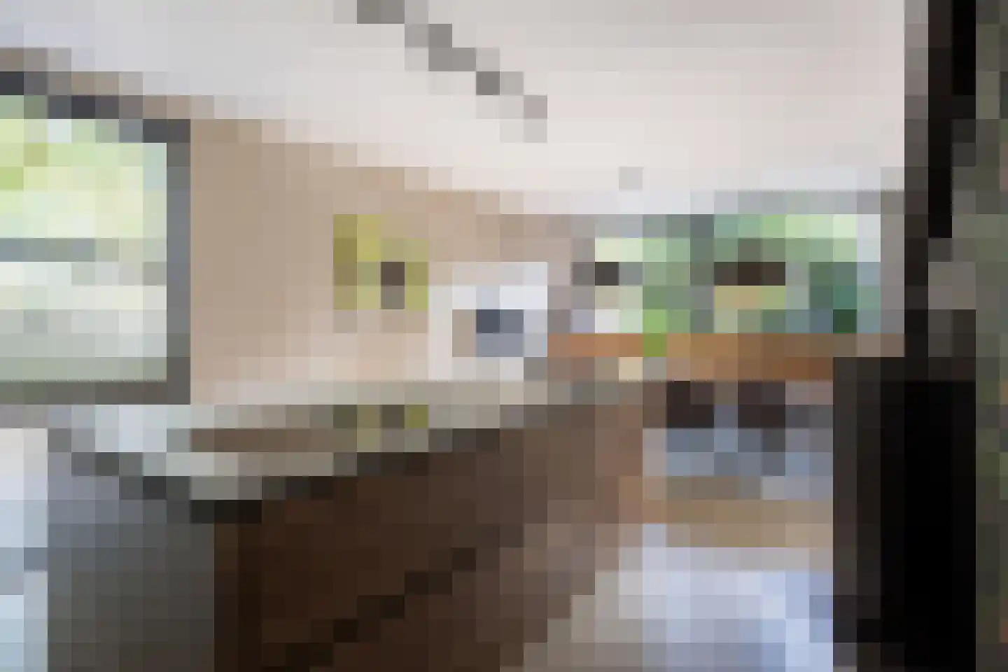 Telgenkamp 16 Rolde thumbnail 20