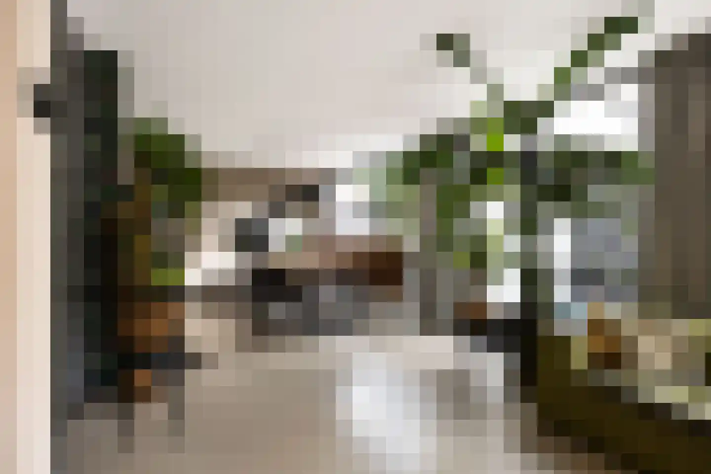 Telgenkamp 16 Rolde thumbnail 24