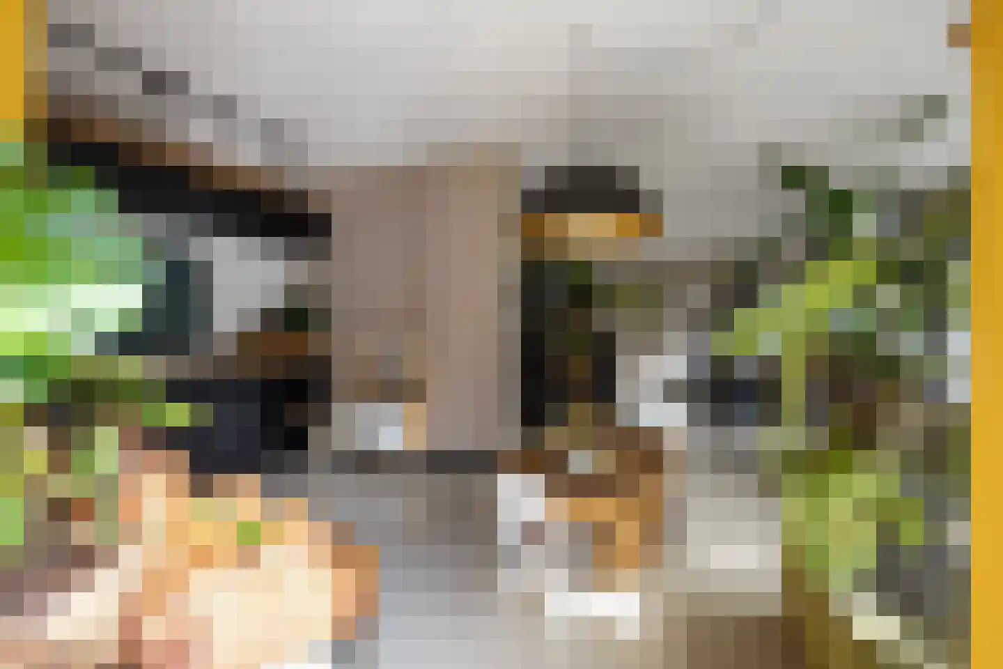 Telgenkamp 16 Rolde thumbnail 25