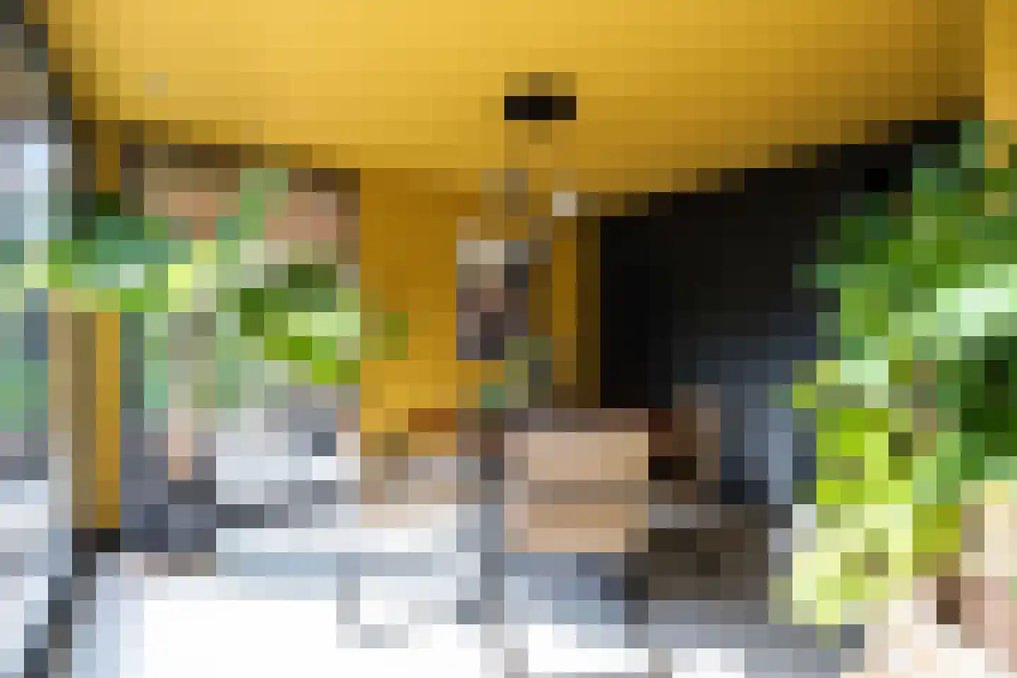 Telgenkamp 16 Rolde thumbnail 29