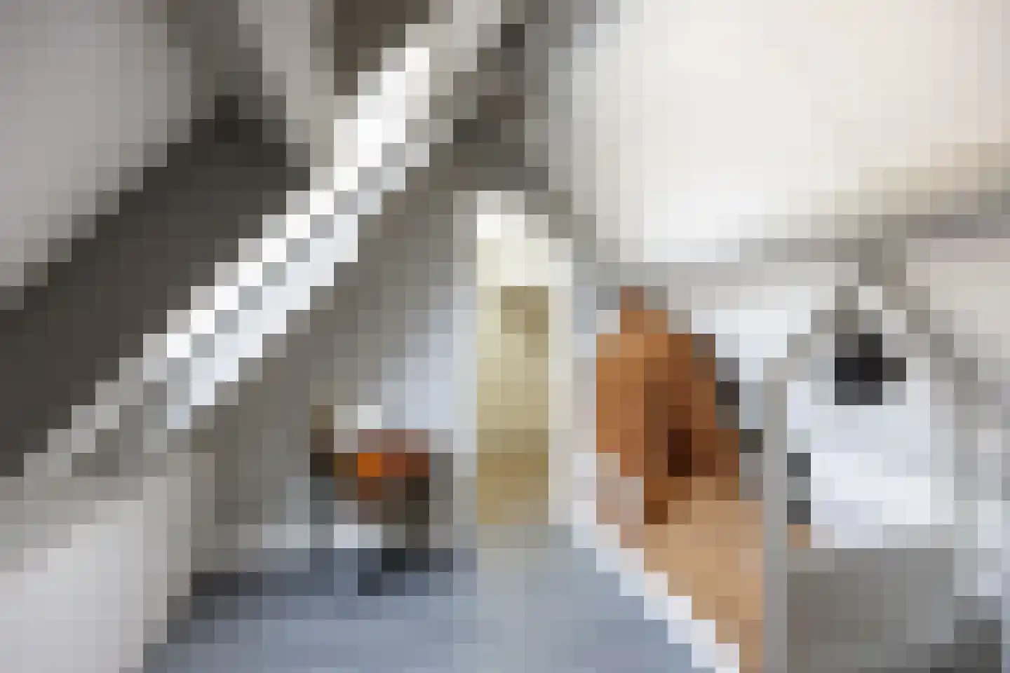 Telgenkamp 16 Rolde thumbnail 47