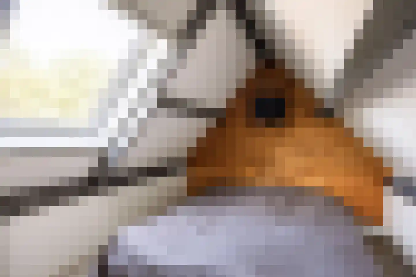 Telgenkamp 16 Rolde thumbnail 48