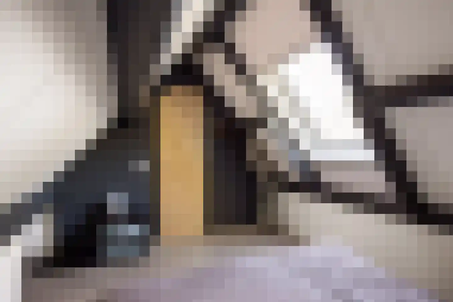 Telgenkamp 16 Rolde thumbnail 49