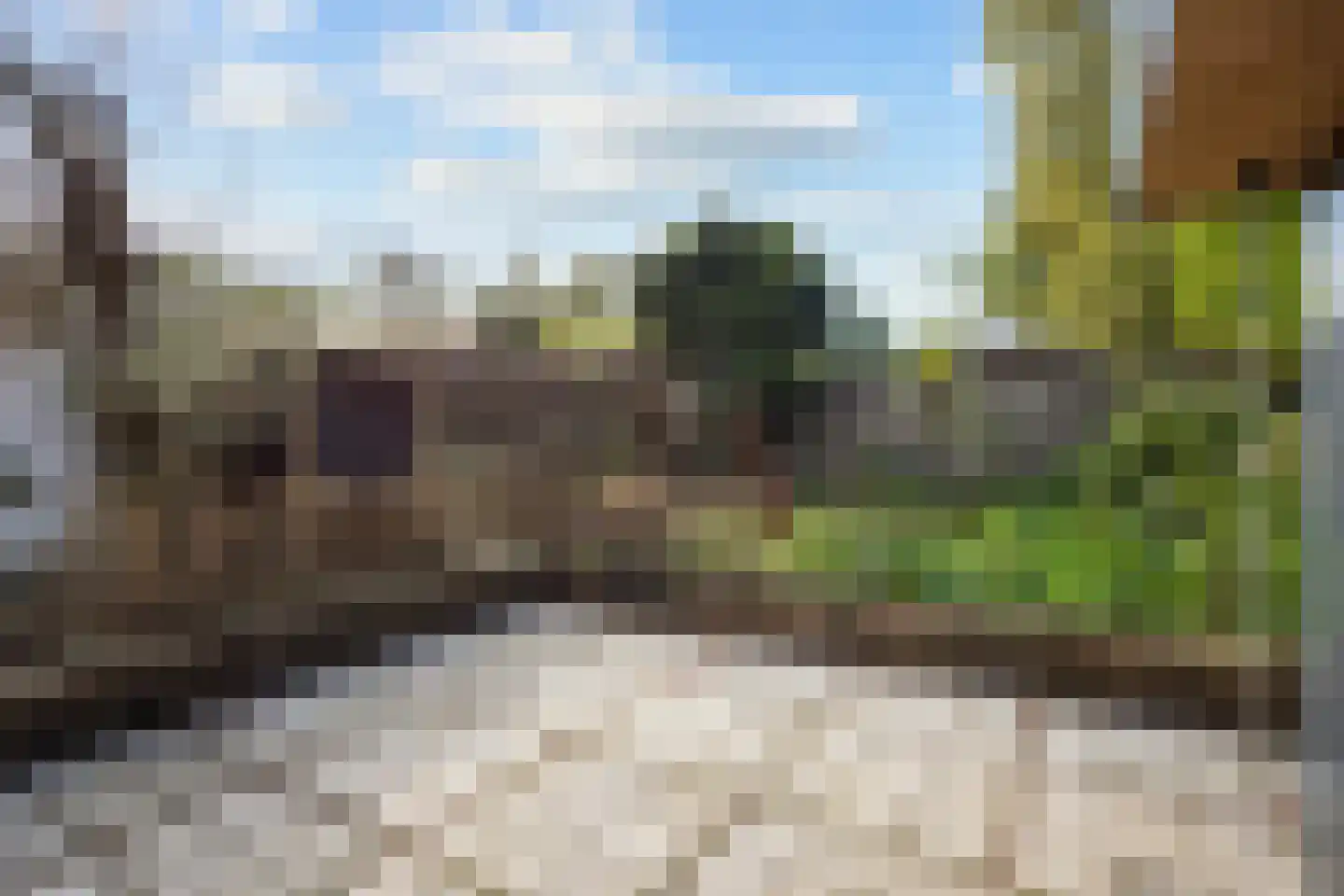 Telgenkamp 16 Rolde thumbnail 54