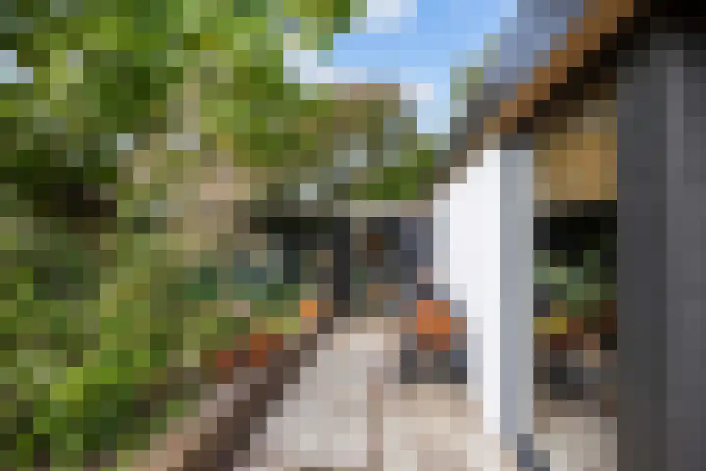 Telgenkamp 16 Rolde thumbnail 56