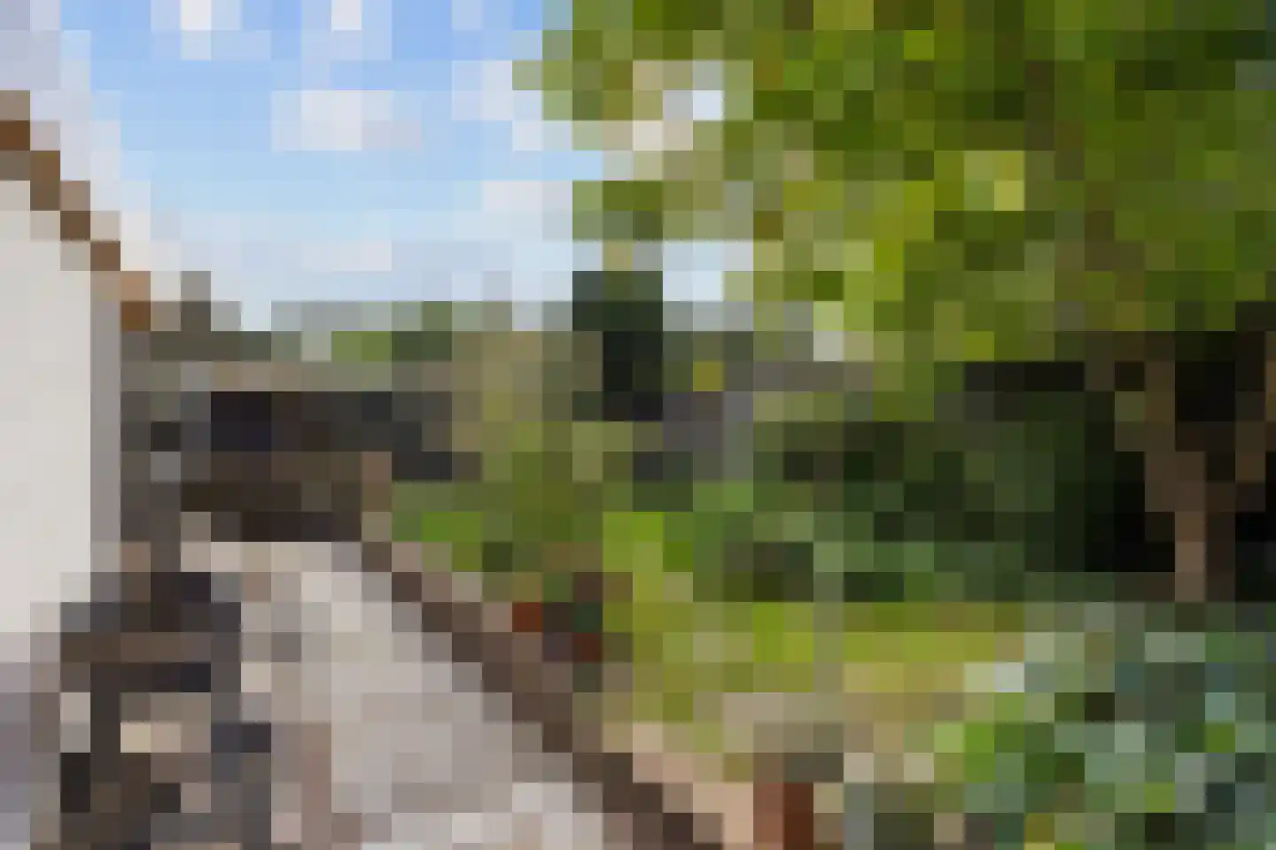 Telgenkamp 16 Rolde thumbnail 57
