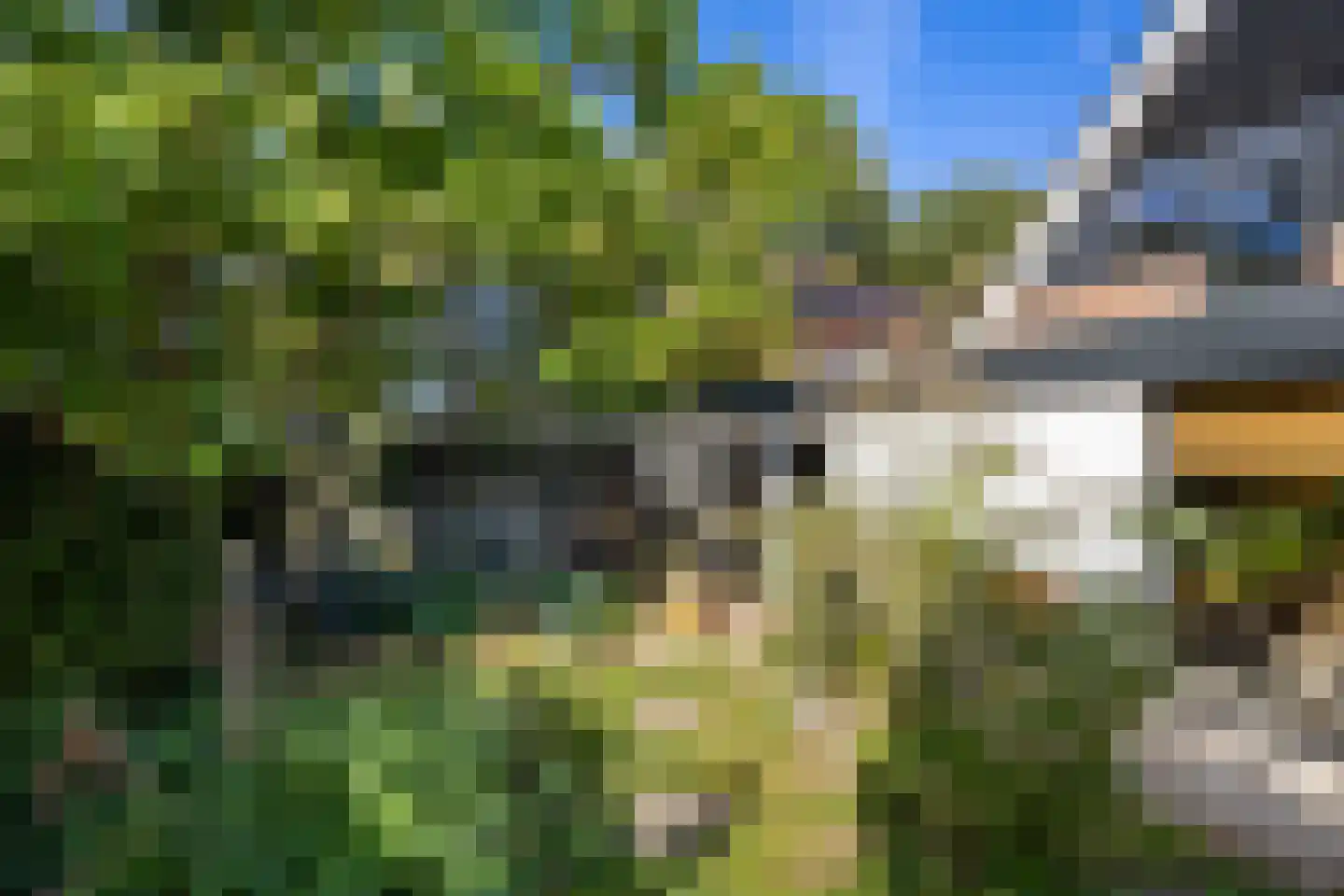 Telgenkamp 16 Rolde thumbnail 59