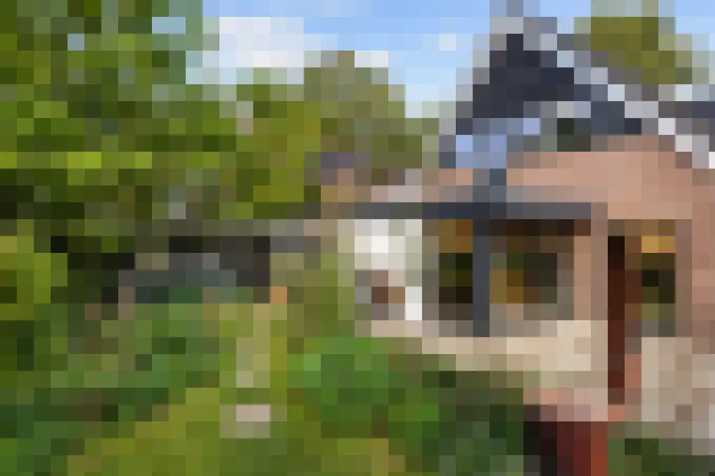 Telgenkamp 16 Rolde thumbnail 6