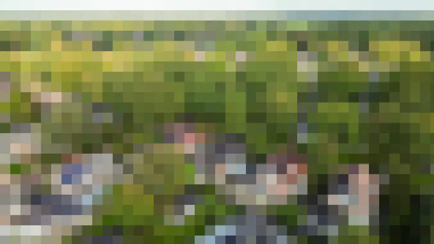 Telgenkamp 16 Rolde thumbnail 62