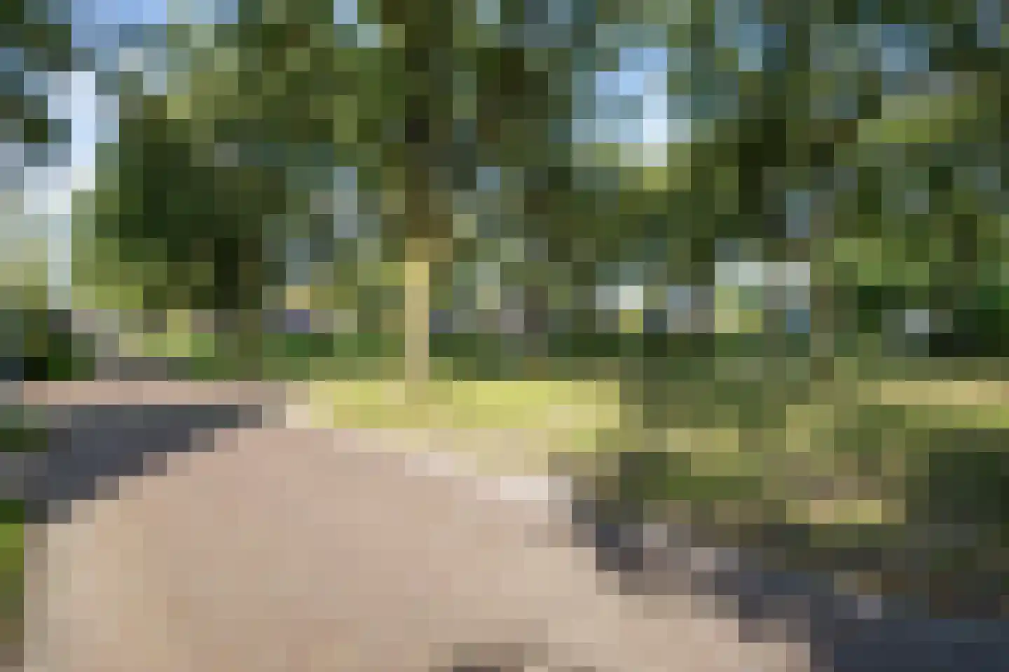 Telgenkamp 16 Rolde thumbnail 64