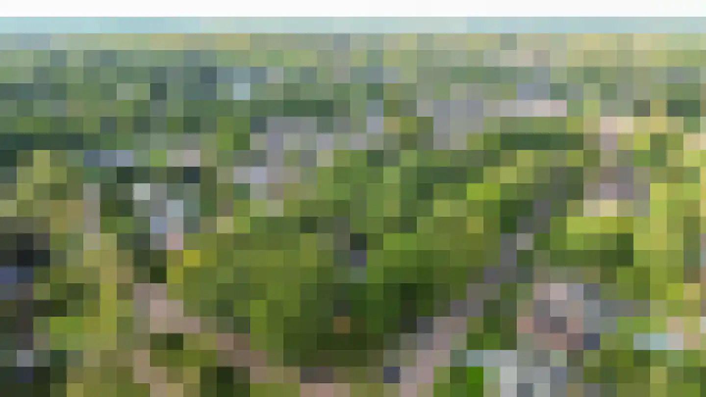 Telgenkamp 16 Rolde thumbnail 66
