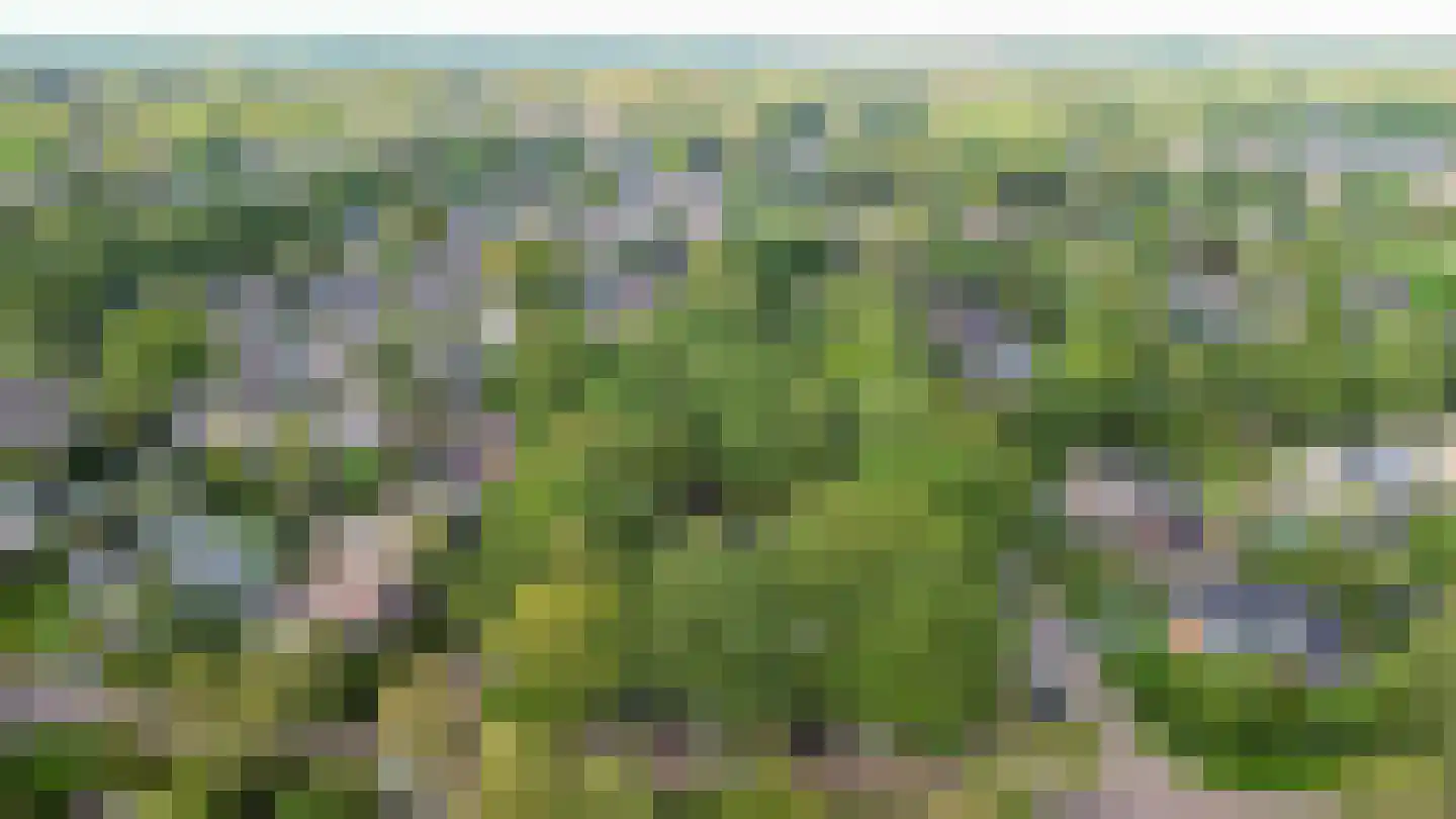 Telgenkamp 16 Rolde thumbnail 67