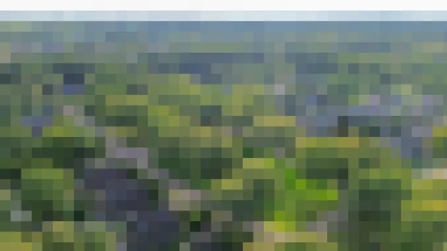 Telgenkamp 16 Rolde thumbnail 68