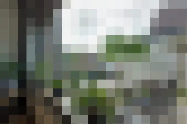 Telgenkamp 17 Rolde thumbnail 15