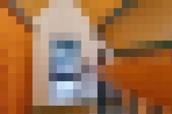 Telgenkamp 17 Rolde thumbnail 34