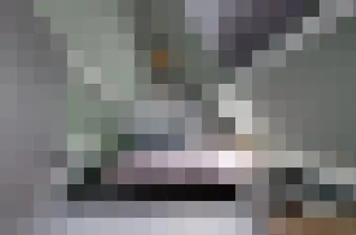 Telgenkamp 17 Rolde thumbnail 35