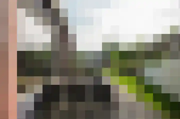 Telgenkamp 17 Rolde thumbnail 38