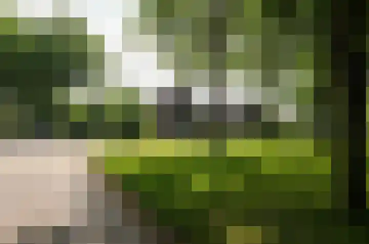 Telgenkamp 17 Rolde thumbnail 4