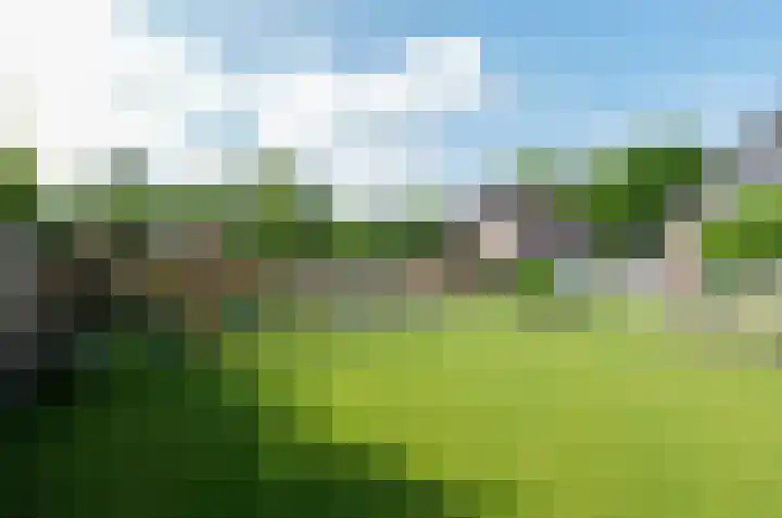 Telgenkamp 17 Rolde thumbnail 41
