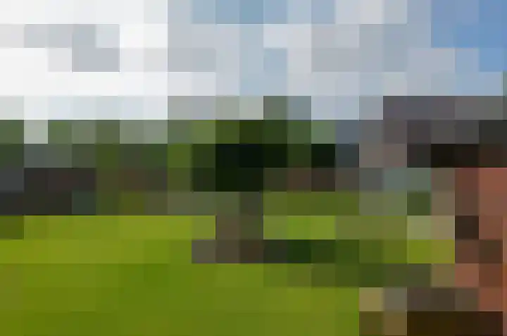 Telgenkamp 17 Rolde thumbnail 43