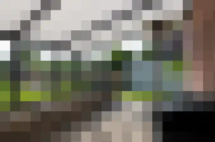 Telgenkamp 17 Rolde thumbnail 44