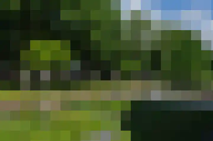 Telgenkamp 17 Rolde thumbnail 48