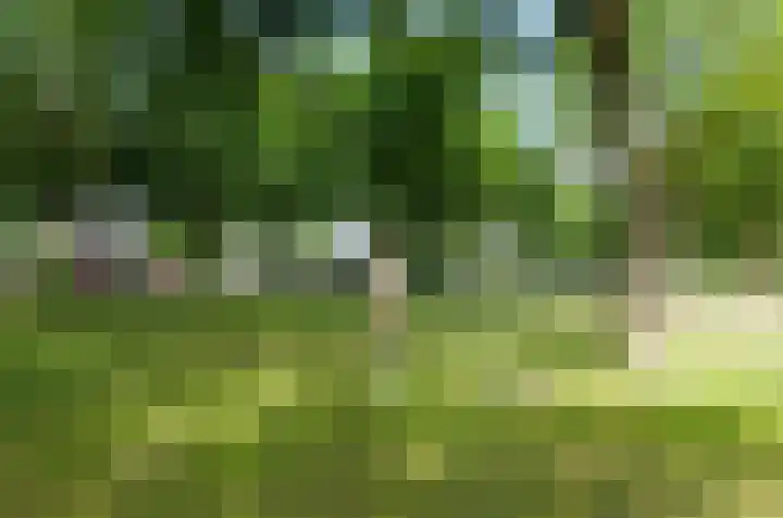 Telgenkamp 17 Rolde thumbnail 49