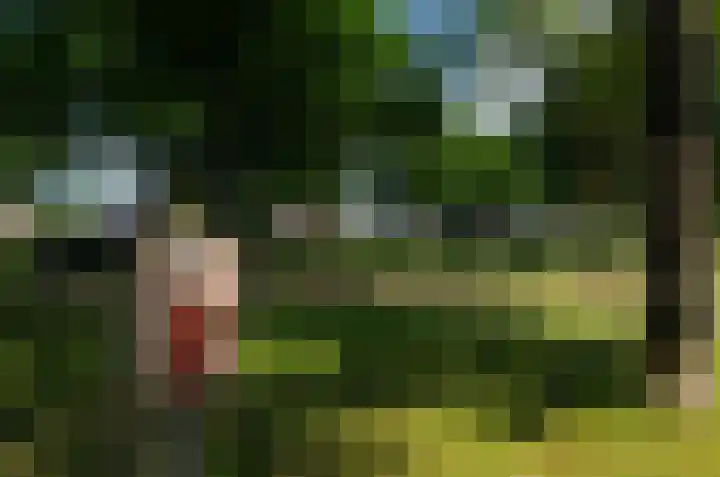 Telgenkamp 17 Rolde thumbnail 50