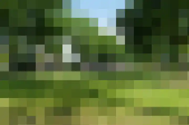 Telgenkamp 17 Rolde thumbnail 51
