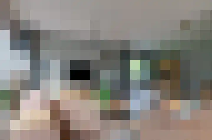 Telgenkamp 17 Rolde thumbnail 7