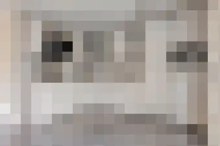 Telgenkamp 28 Oldenzaal thumbnail 10