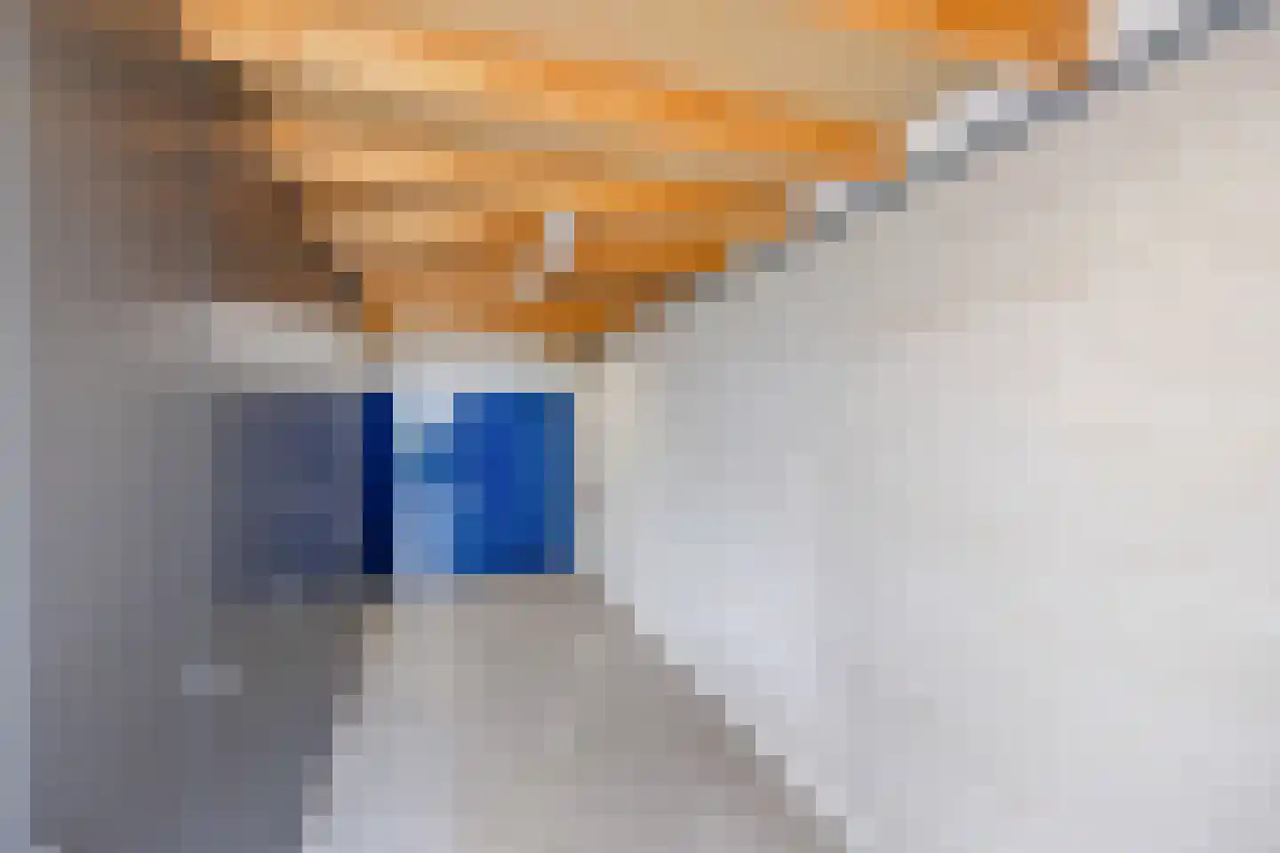 Telgenweg 6 a Heeten thumbnail 24