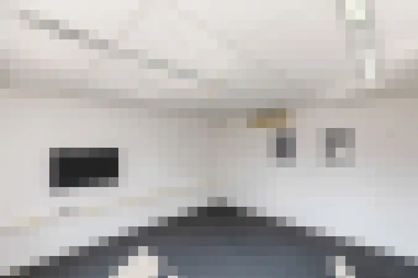 Telgenweg 6 a Heeten thumbnail 38