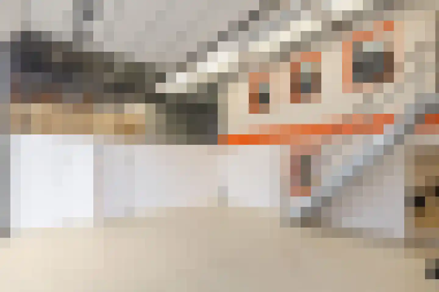 Telgenweg 6 a Heeten thumbnail 44