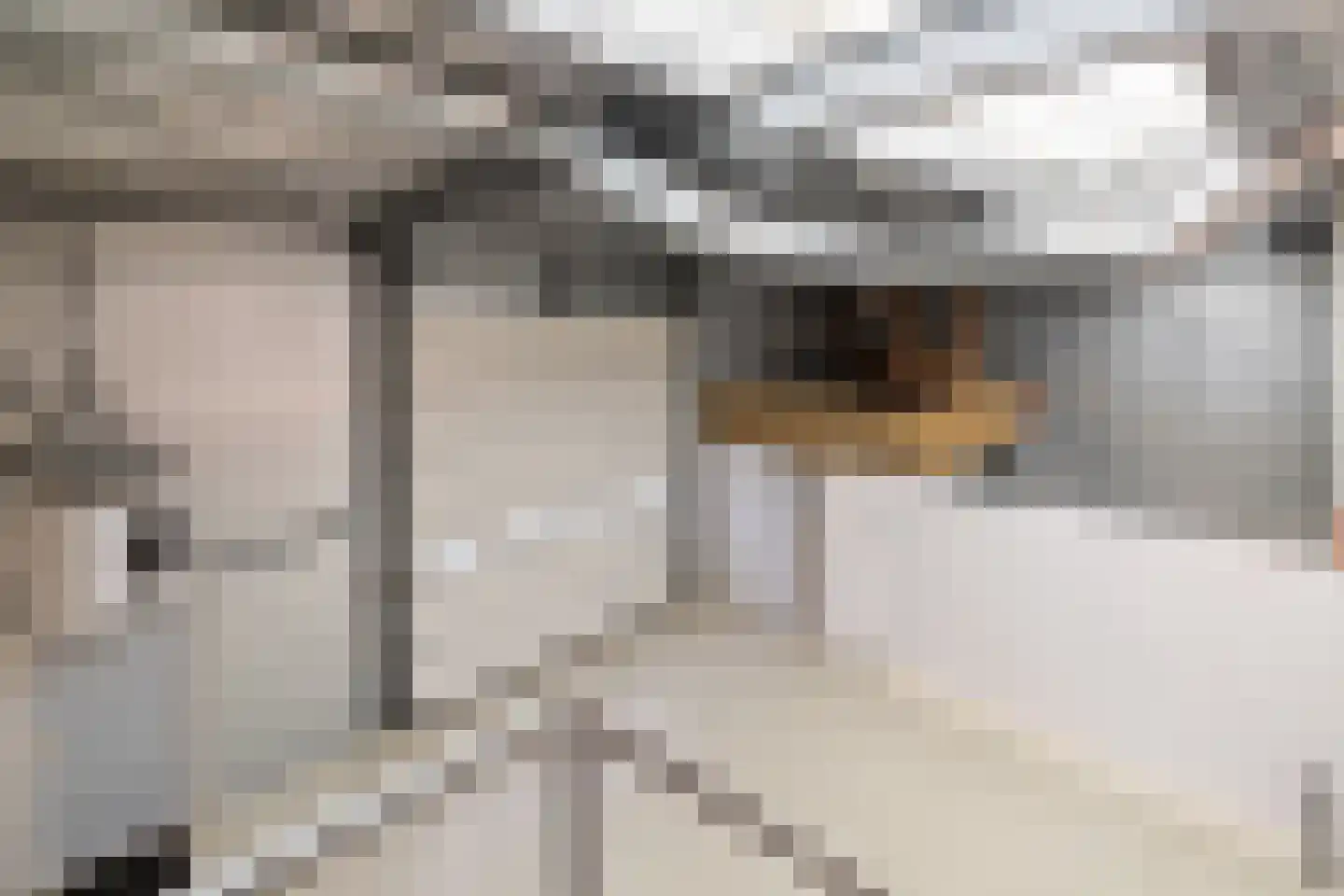 Telgenweg 6 a Heeten thumbnail 45