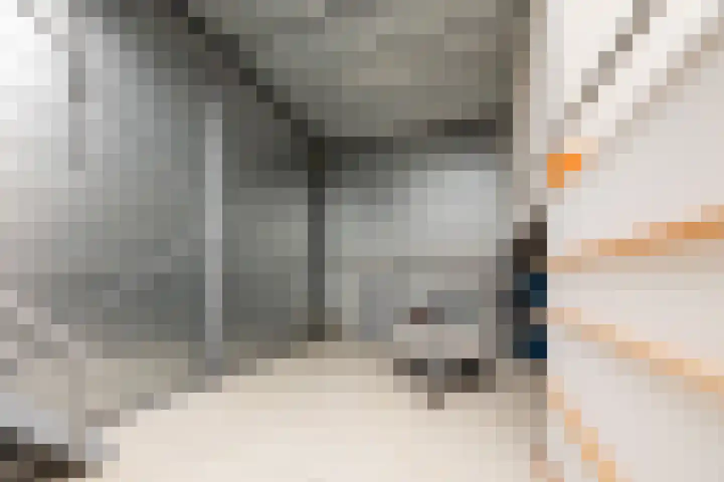 Telgenweg 6 a Heeten thumbnail 46