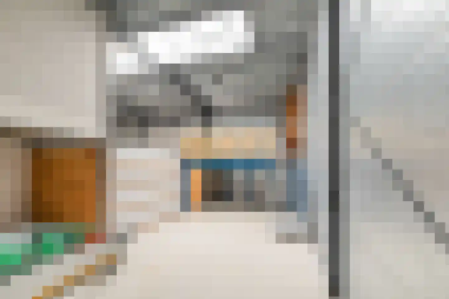 Telgenweg 6 a Heeten thumbnail 47