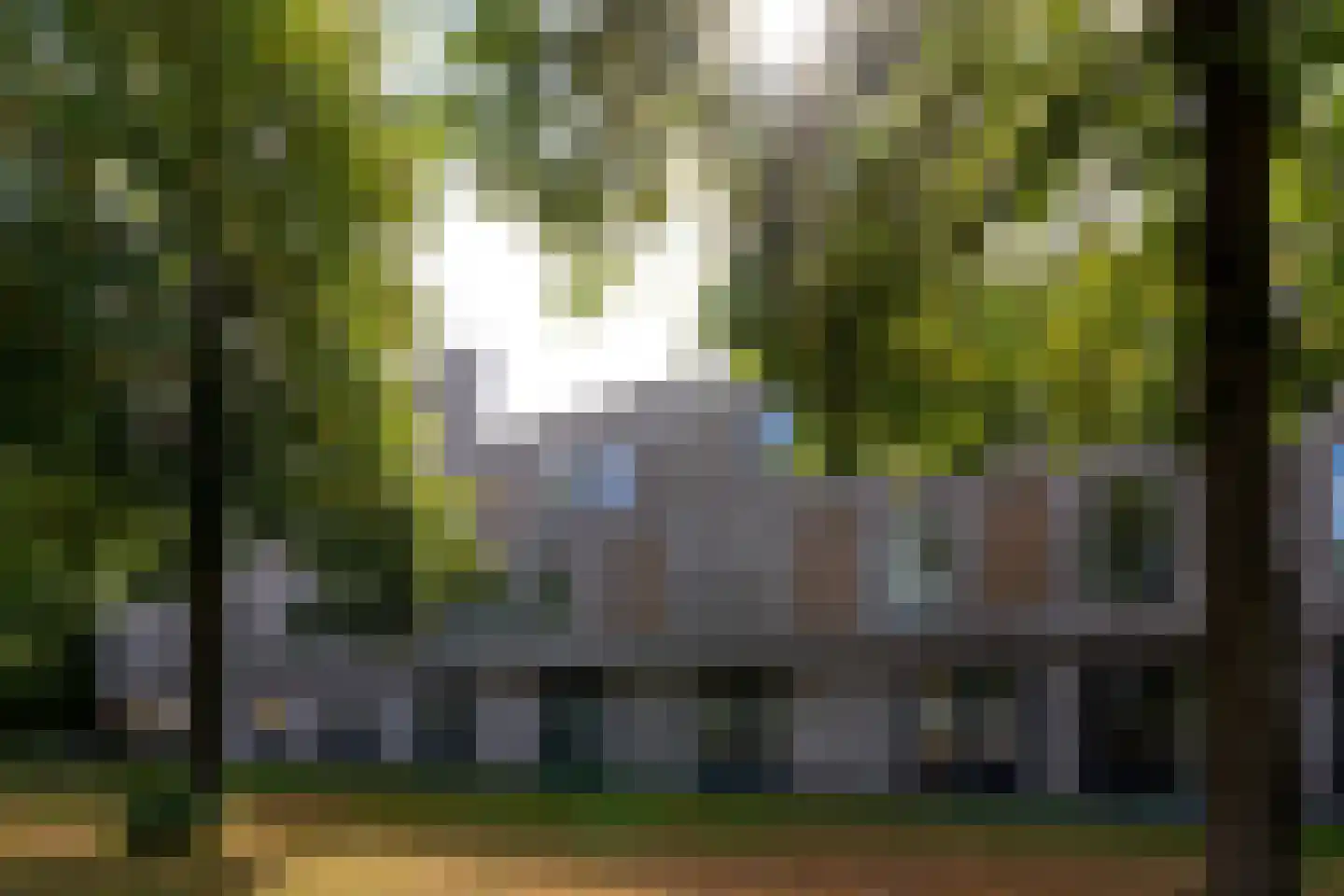 Telgterpoort 13 Ermelo thumbnail 34