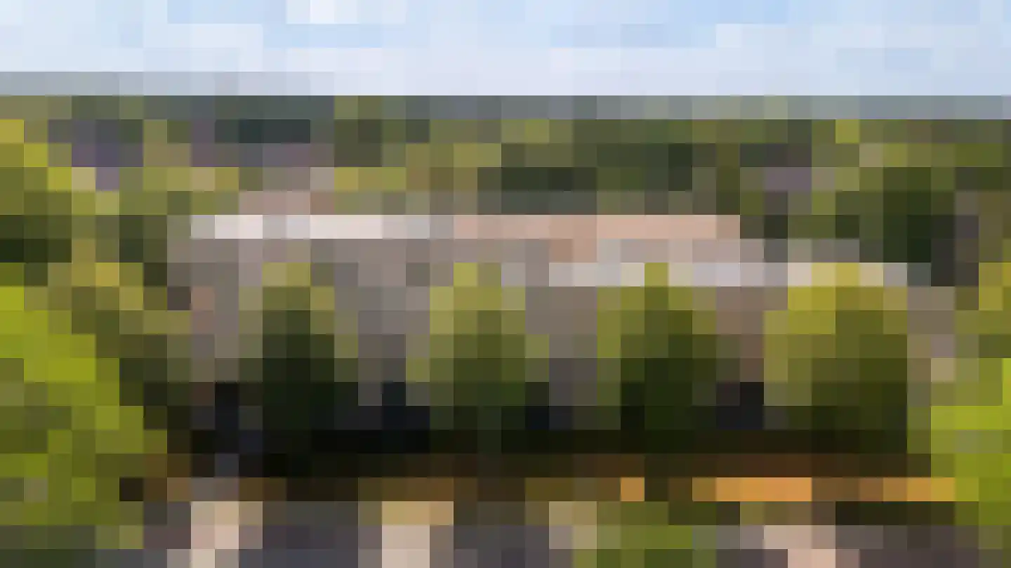 Telgterpoort 13 Ermelo thumbnail 43