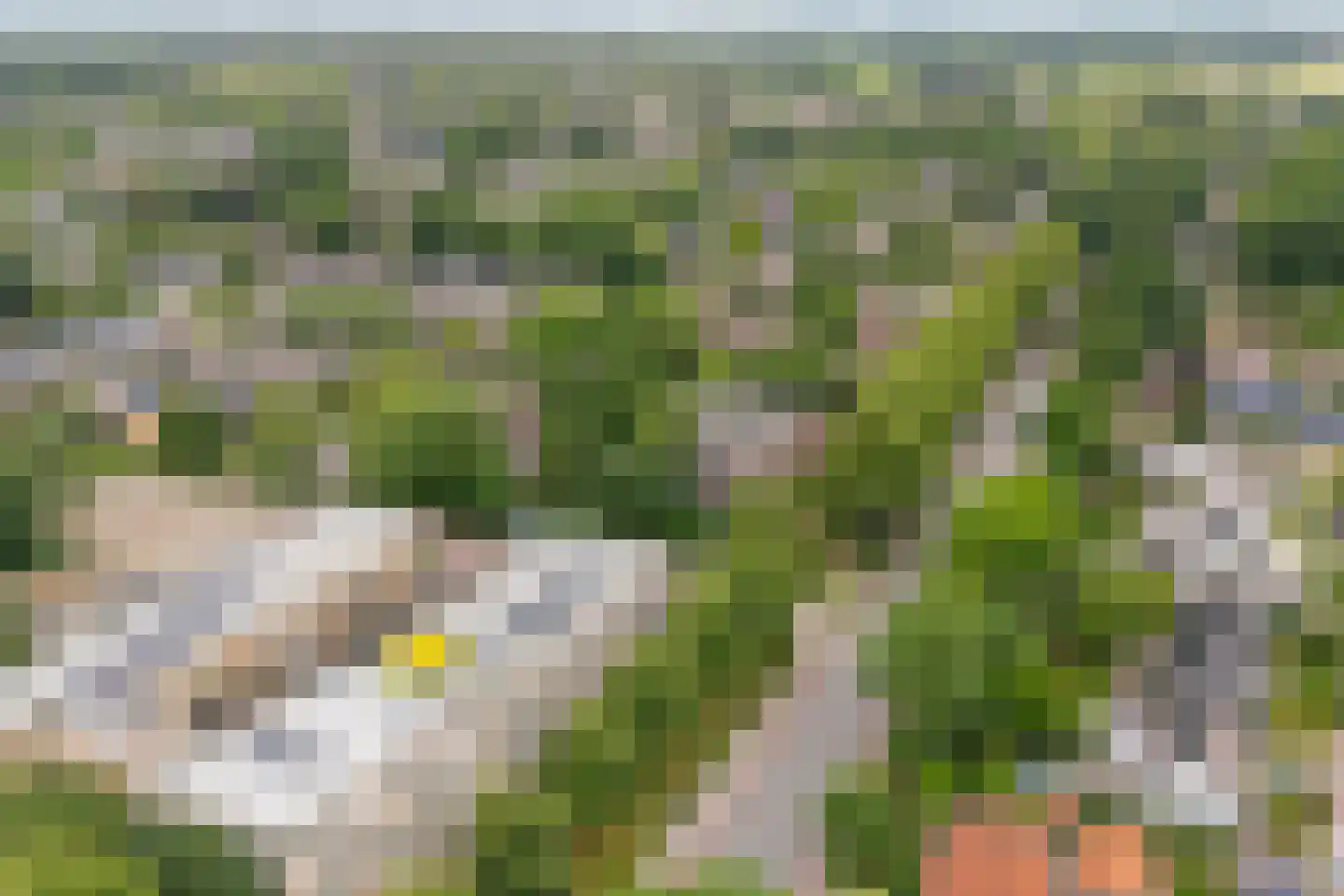 Telgterpoort 16 Ermelo thumbnail 35